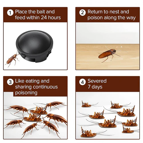 100% Plant-Based Japan Roach Bait – Buy 6, Get 6 Free!