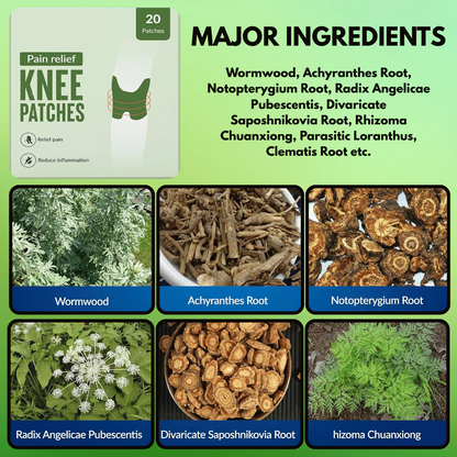 Painshield - Pain Relief Knee Patches (Instant Relief)