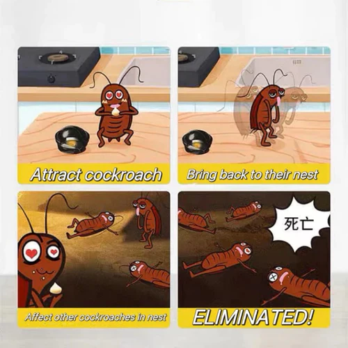 100% Plant-Based Japan Roach Bait – Buy 6, Get 6 Free!