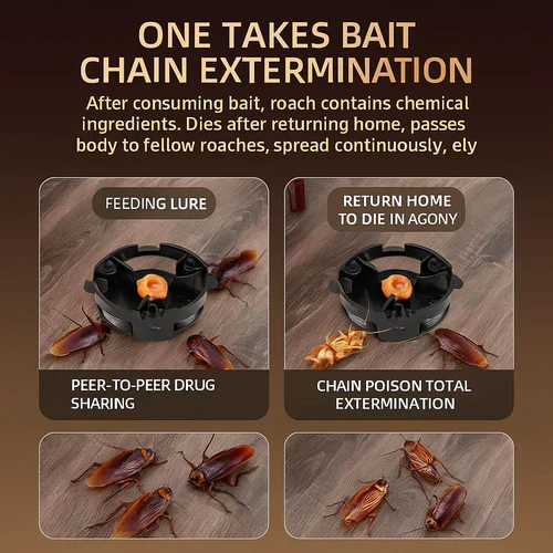 100% Plant-Based Japan Roach Bait – Buy 6, Get 6 Free!