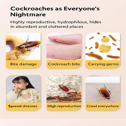 100% Plant-Based Japan Roach Bait – Buy 6, Get 6 Free!